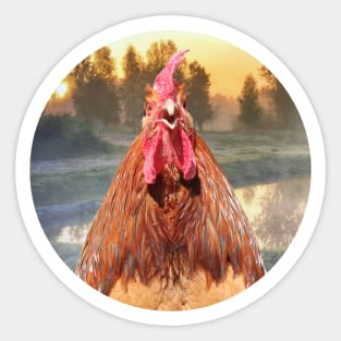 Rise and Shine - Whimsical rooster series #1 Sticker